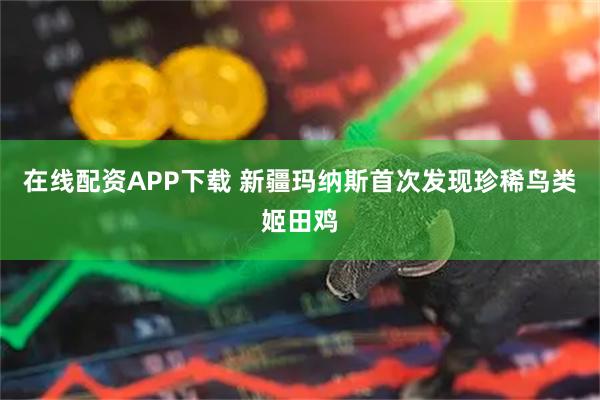 在线配资APP下载 新疆玛纳斯首次发现珍稀鸟类姬田鸡
